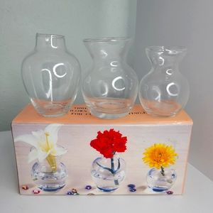 3 Corning Revere Minature Hand Blow Glass Vases 3" Bud Vase Clear Rooting Cuttin